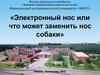 Электронный нос или что может заменить нос собаки