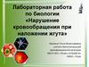 Нарушение кровообращения при наложении жгута. Лабораторная работа