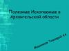 Полезные ископаемые в Архангельской области