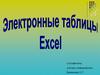 Электронные таблицы Excel