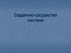 Сердечно-сосудистая система