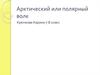Арктический, или полярный волк