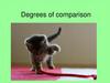 Degrees  of  comparison