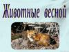 Животные весной