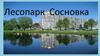Лесопарк Сосновка