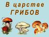 В царстве грибов