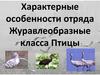 Характерные особенности отряда Журавлеобразные класса Птицы
