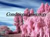 Conditional sentences