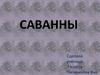 Саванны