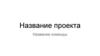 Название проекта. Название команды