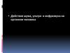 Действие шума, ультра- и инфразвука на организм человека