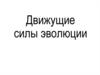 Движущие силы эволюции