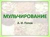 Мульчирование