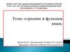 Строение и функция кожи