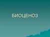 Биоценоз. Понятие о биоценозе