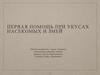 Первая помощь при укусах насекомых и змей