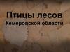 Птицы лесов Кемеровской области. Дрозд- рябинник