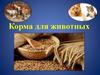 Корма для животных
