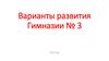 Варианты развития Гимназии № 3
