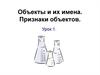 Объекты и их имена. Признаки объектов. (Урок 1)