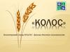 «КОЛОС». Волонтерский отряд ЮУрГАУ - филиал Институт агроэкологии