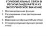 Горизонтальные связи в лесном ландшафте и их экологическое значение