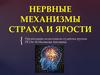 Нервные механизмы страха и ярости