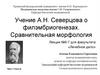 Учение А.Н. Северцова о филэмбриогенезах. Сравнительная морфология