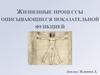 Жизненные процессы, описывающиеся показательной функцией