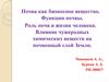 Почва как биокосное вещество. Роль почв в жизни человека. Влияние чужеродных химических веществ на почвенный слой Земли