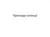 Приклади селекції