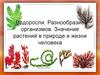 Водоросли. Разнообразие организмов. Значение растений в природе