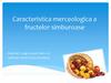 Caracteristica merceologica a fructelor simburoase