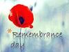 Rememberance day