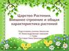 Царство Растения. Внешнее строение и общая характеристика растений