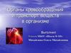 Органы кровообращения и транспорт веществ в организме