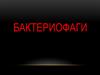 Бактериофаги
