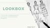 Кейс Lookbox