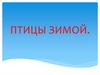 Птицы зимой