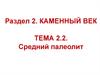 Средний палеолит. Мустьерская эпоха (150/100 тыс. — 40/28 тыс. лет назад) Тема 2.2