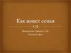 Как живет моя семья