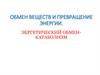 Обмен веществ и превращение энергии. Энергетический обмен - катаболизм