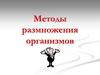 Методы размножения организмов