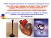 Аускультация сердца и сосудов. Тоны и шумы сердца. Механизмы их возникновения и изменения при патологии