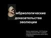 Эмбриологические доказательства эволюции