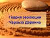 Теория эволюции Чарльза Дарвина