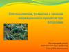 Возникновение, развитие и течение инфекционного процесса при ботулизме
