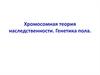 Хромосомная теория наследственности. Генетика пола