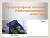 Гетеротрофное питание. Растительноядные животные