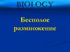 Бесполое размножение